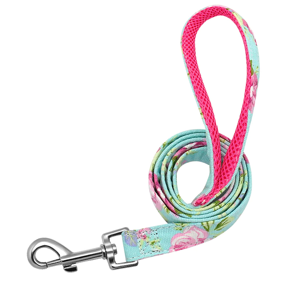 Custom Anti-Lost Dog Collar with Tag and Leash